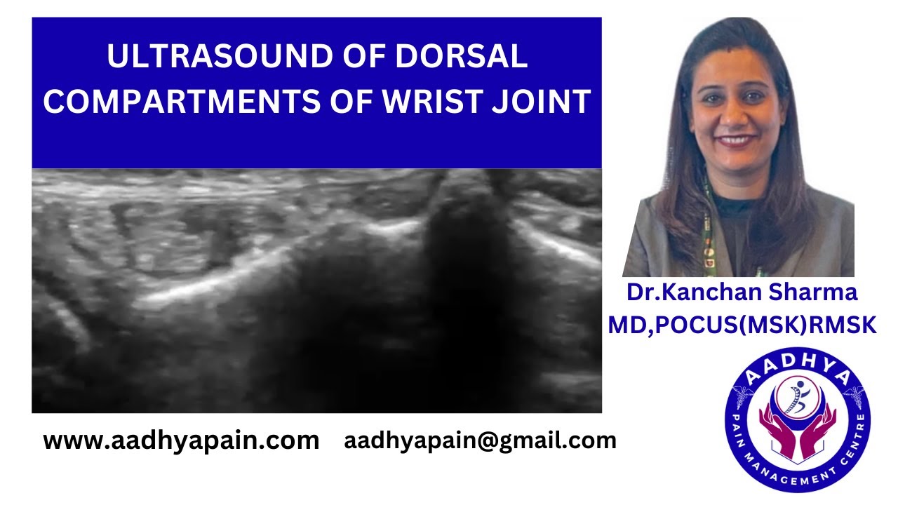Ultrasound Of The Dorsal Compartments Of The Wrist Joint